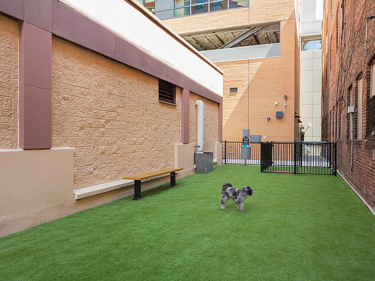 Take your dog to play at the onsite dog park