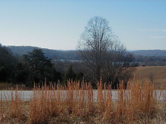 3rd image of 100 Roaming Fawn Dr