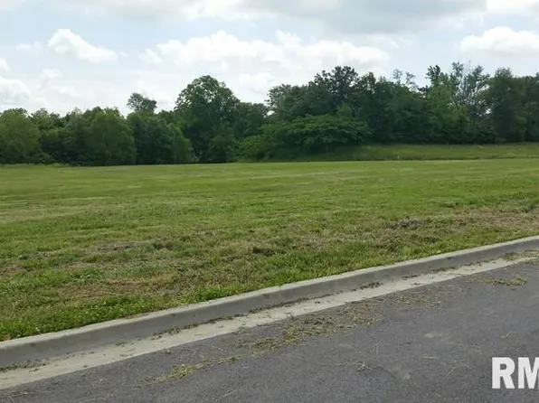 LOT 13 Financial Park, Carbondale, IL 62902