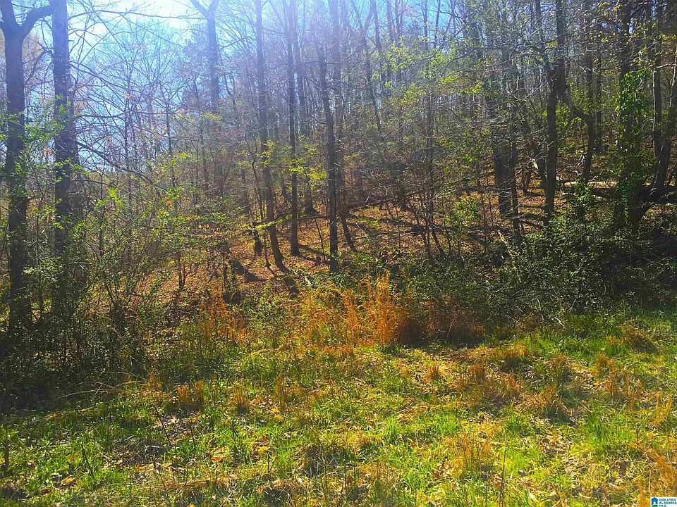 2nd image of 0 Fox Run