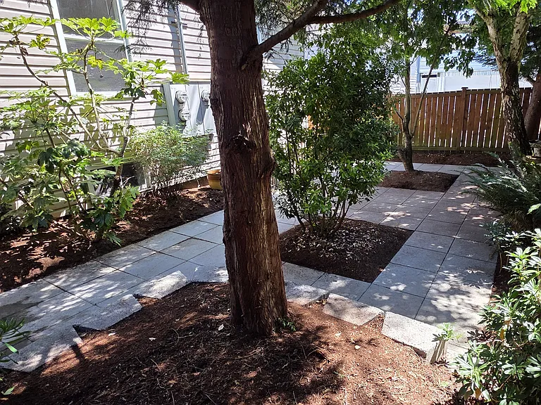 Backyard / Patio