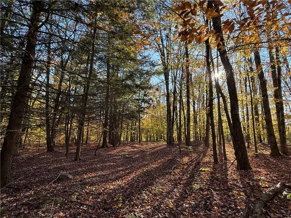 County Route 23 #5, Constantia, NY 13044