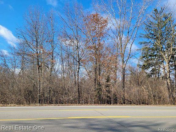 2nd image of 0 Union Lake Rd