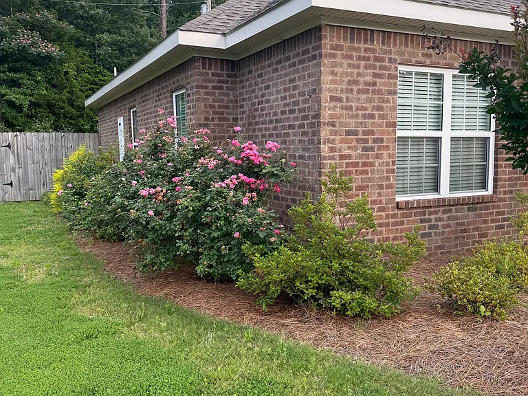 225 Ora Ln — Photo 5