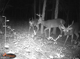 1665 Washington Ave, Woodbine, NJ 08270