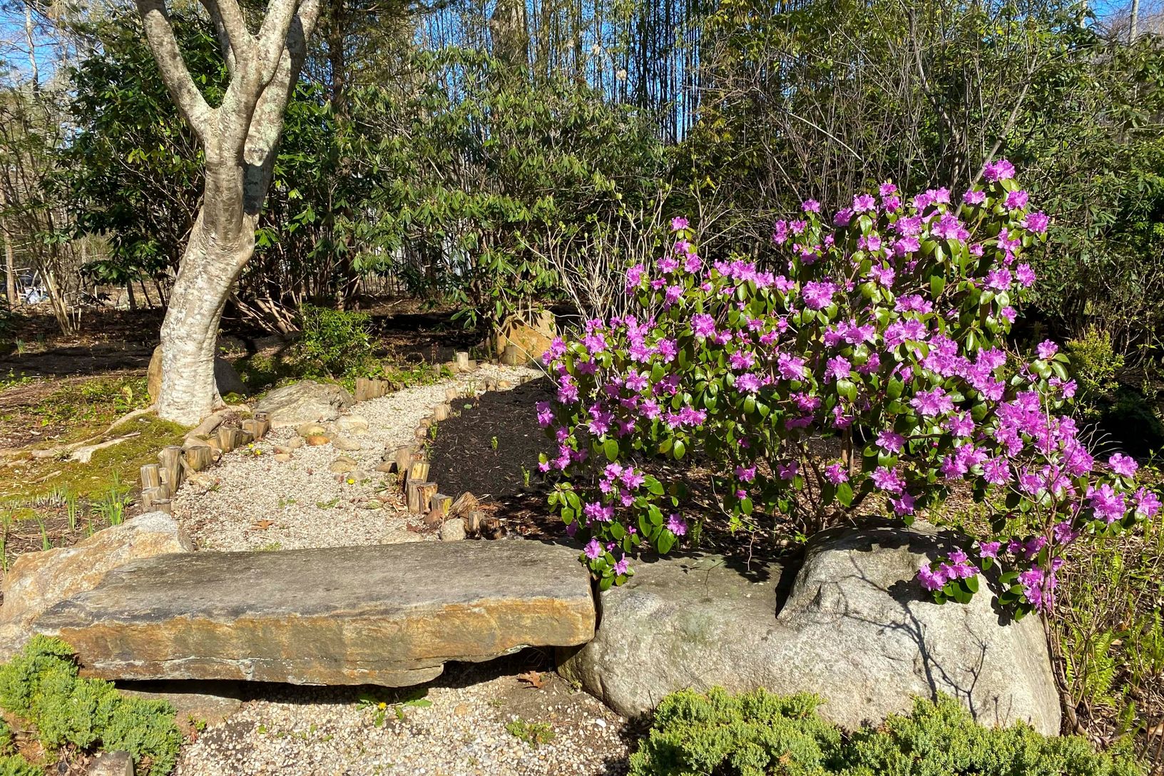  Thoughtfully designed gardens