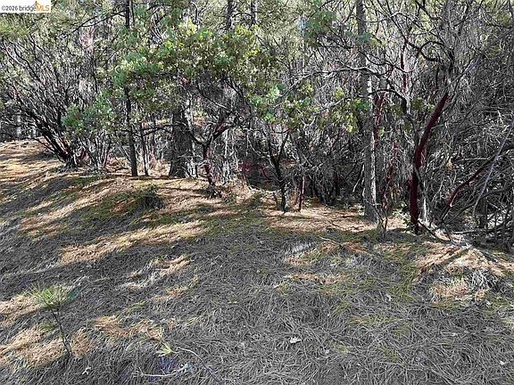 3rd image of 1 Stable Rd