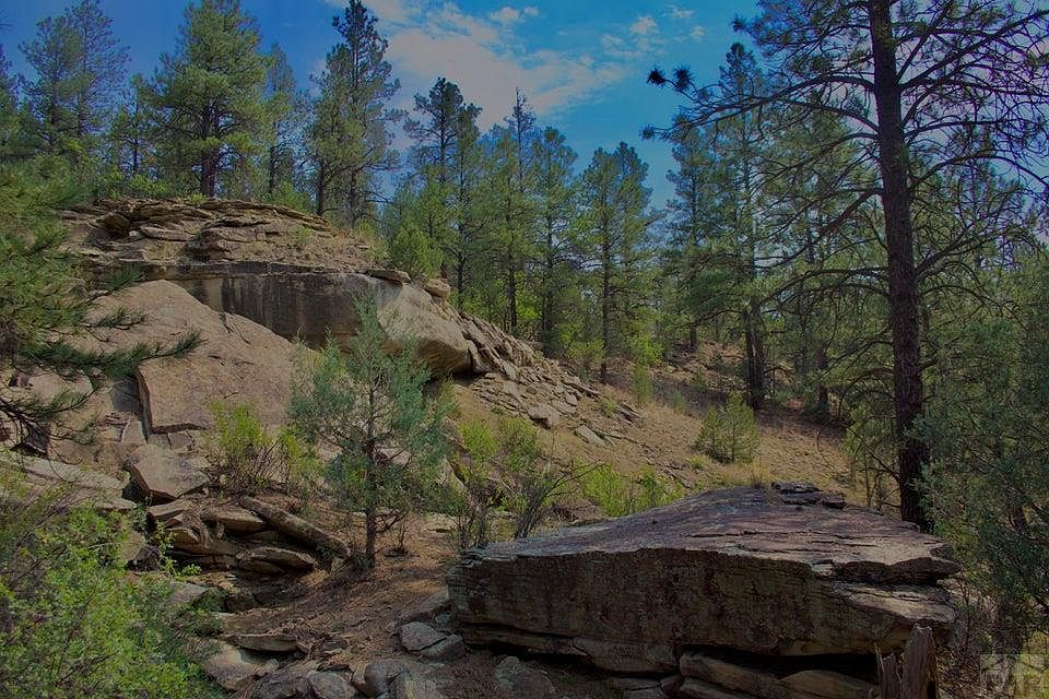 1st image of Pine Ln
