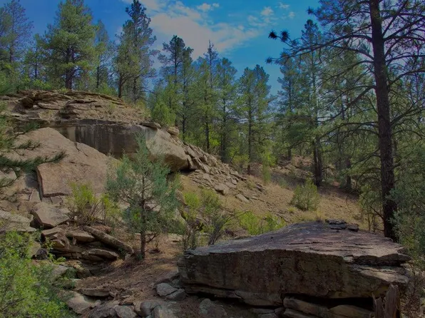 Pine Ln, Weston, CO 81091
