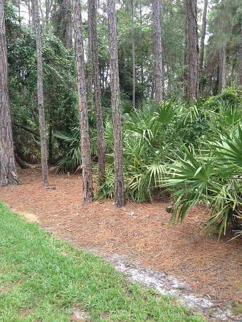 2nd image of 89 Brushwood Ln