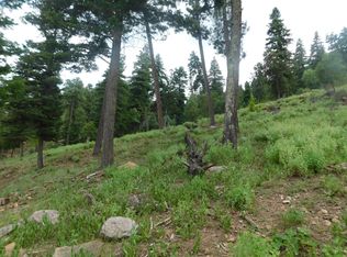 917 Main Rd, Ruidoso, NM 88345