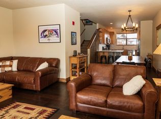 60 Black Diamond Trail #C, Silverthorne, CO 80498