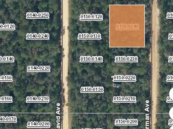 Norman Avenue Lot #24, Interlachen, FL 32148