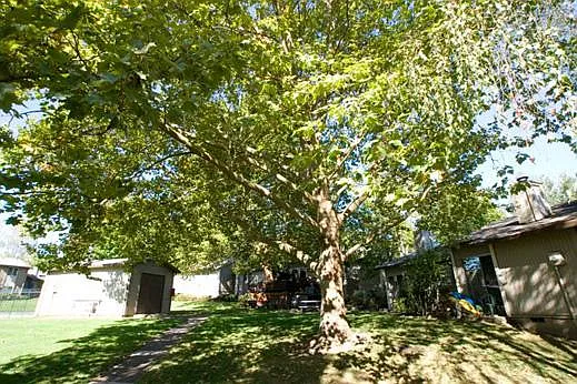 The Park at Greenway — Photo 39
