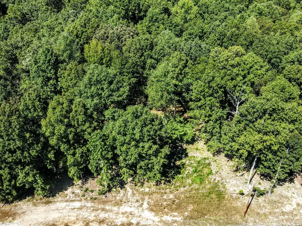 0 Mayne Trace Rd, Waverly, TN 37185