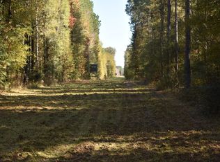 40459 Greenwell Springs Rd, Clinton, LA 70722