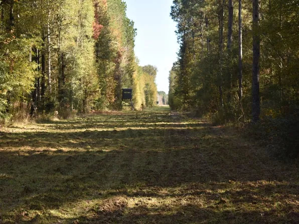 40459 Greenwell Springs Rd, Clinton, LA 70722