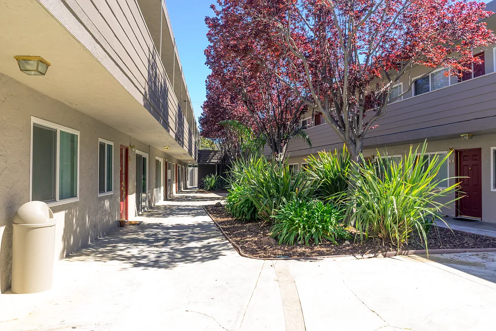Alder Park Apartments — Photo 2