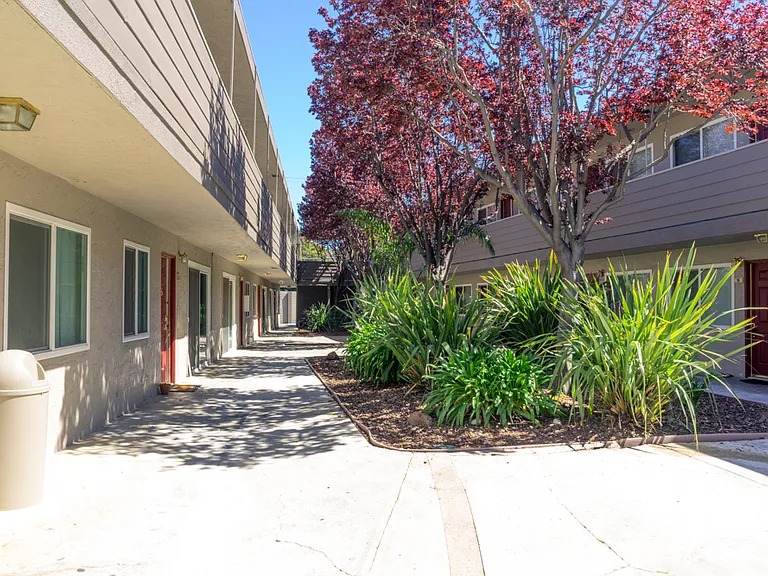 Alder Park Apartments — Photo 2