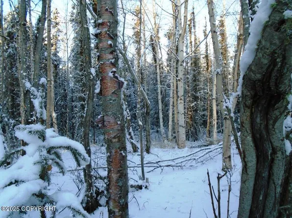 6671 S Lark Cir, Wasilla, AK 99623