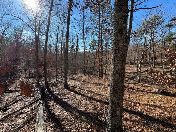 0 County Road 6280, Jadwin, MO 65501