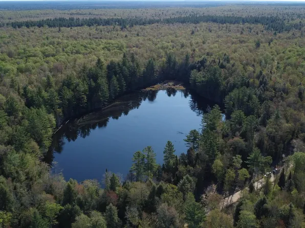 On Wolf Lake Rd, Newberry, MI 49868