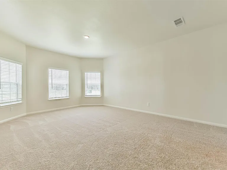 1123 Rare Fancy Dr — Photo 17