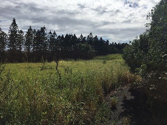 4th image of 95-5783 Mamalahoa Hwy Lot 6