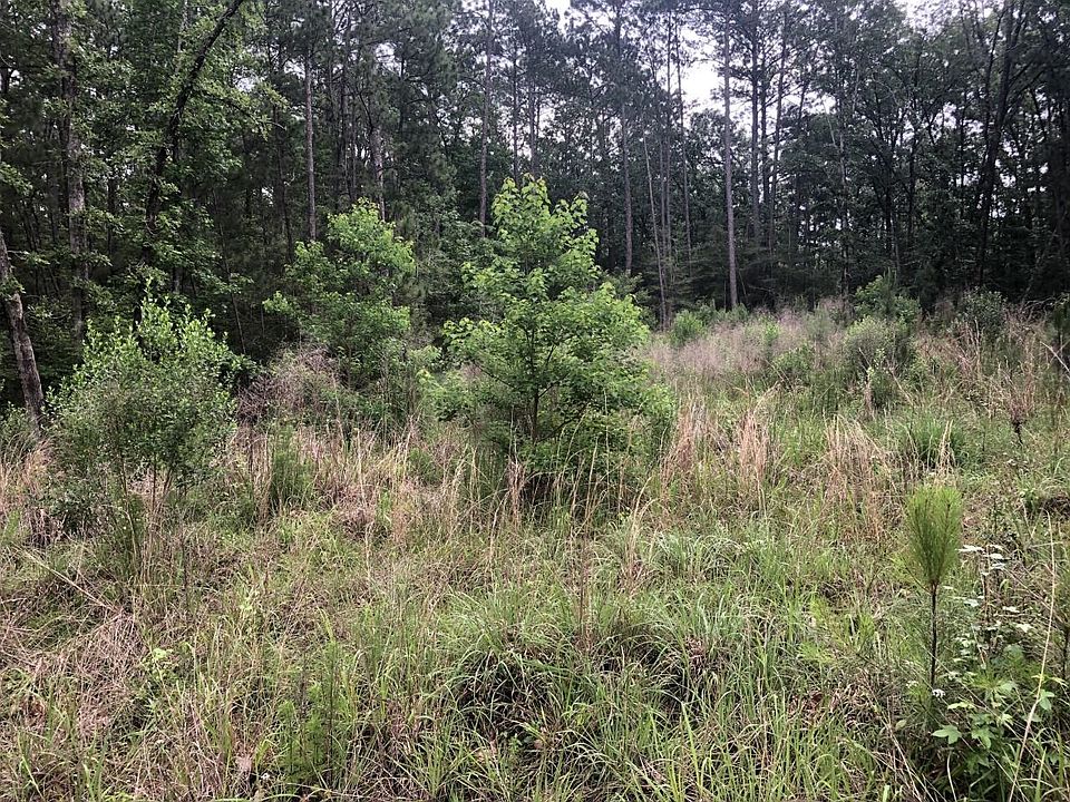 418 Twigwood Brookeland TX Zillow