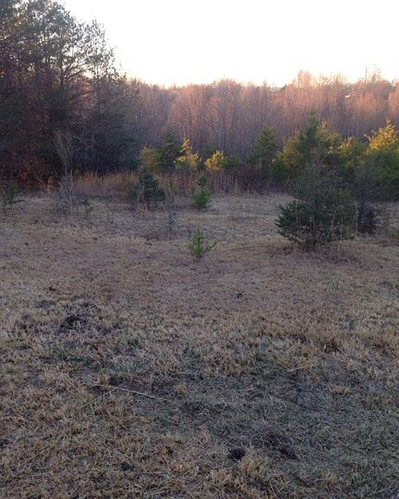 1st image of Lot # 3 Ava Jane Lane