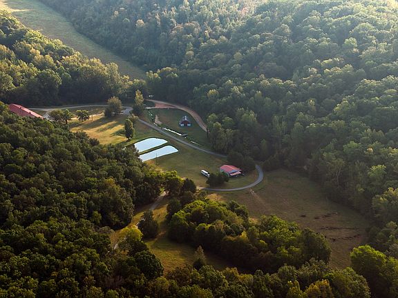 8th image of this home