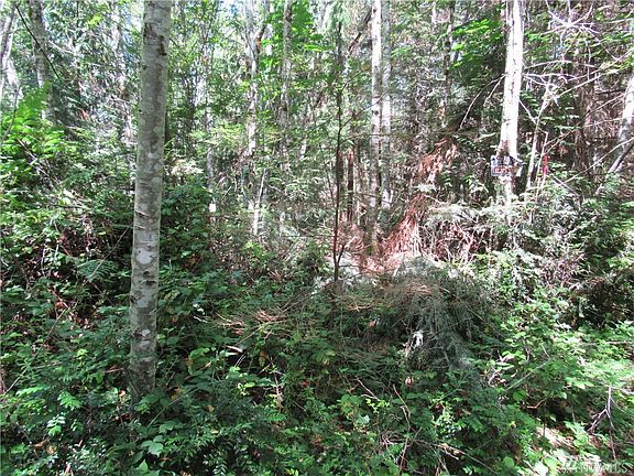 3rd image of 4 .88acres Nw Larson Ln