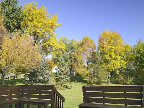 Back Yard - Fall 2011