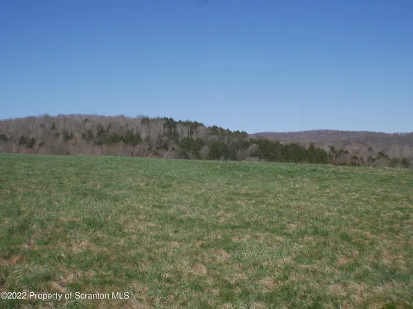 Bell Mountain Rd, Carbondale, PA 18407
