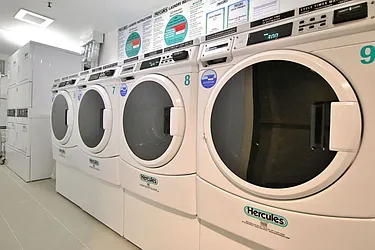 Rented by Bold New York