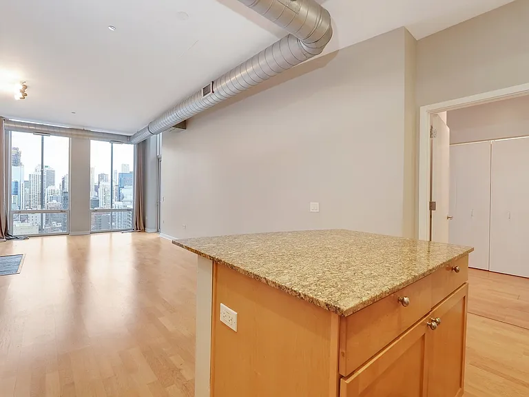 720 N Larrabee St #1706 — Photo 4