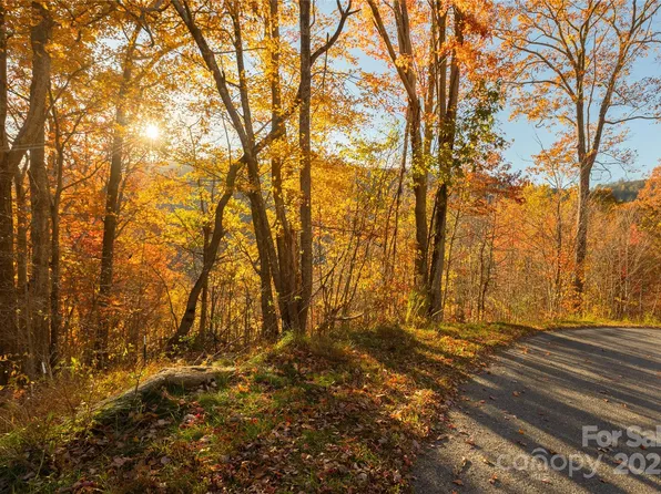 0 Wesley Creek Rd #1, Clyde, NC 28721