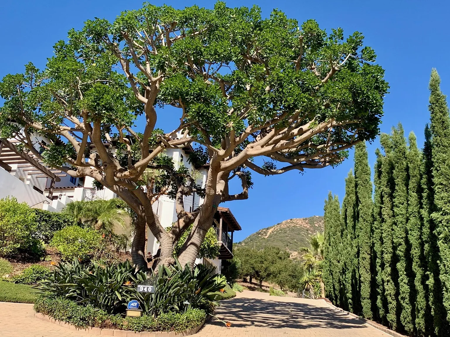 Coyote Rd, Santa Barbara — Photo 2