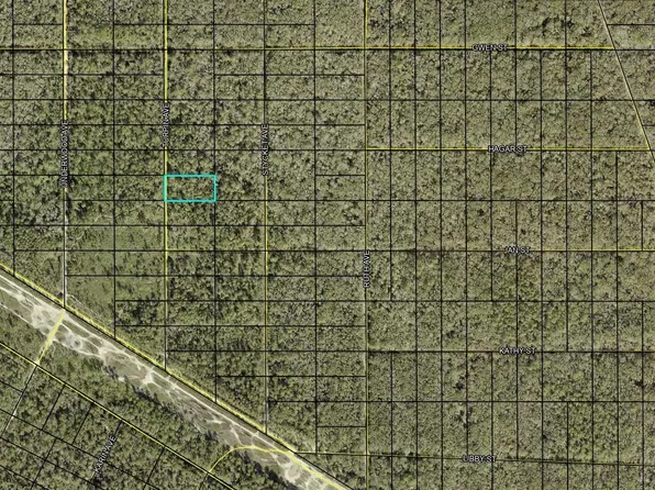 Turpin Ave, Hastings, FL 32145