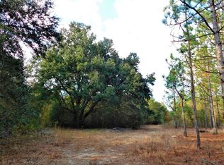 1189 Flinn Rd, Manning, SC 29102