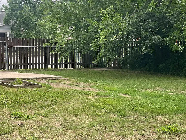 View from middle of the yard near the second concrete patio toward the front. Lovely well shaded area, mulberry tree makes for yummy cobblers! A sweet redbud can be seen out the back windows.