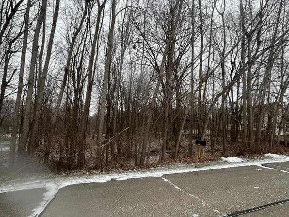 0 Fountain Ln, Fowlerville, MI 48836