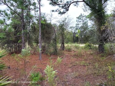 0 Motmot Rd, Brooksville, FL, 34614