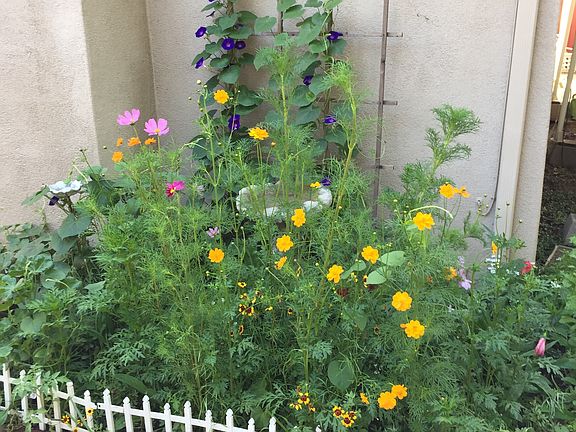 Garden off Private Patio