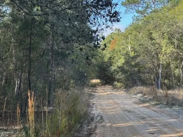 113 GROVE Street, Welaka, FL 32112