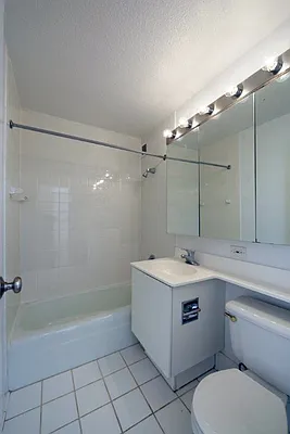 Rented by Manhattan Skyline | media 10