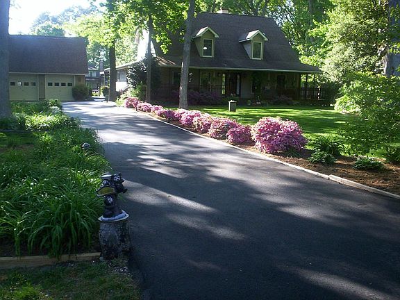 View Down Driveway