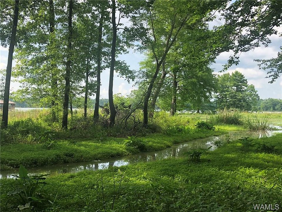81 Black Warrior Bay, Sawyerville, AL 36776 Zillow