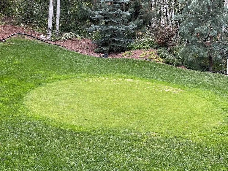 practice chipping green