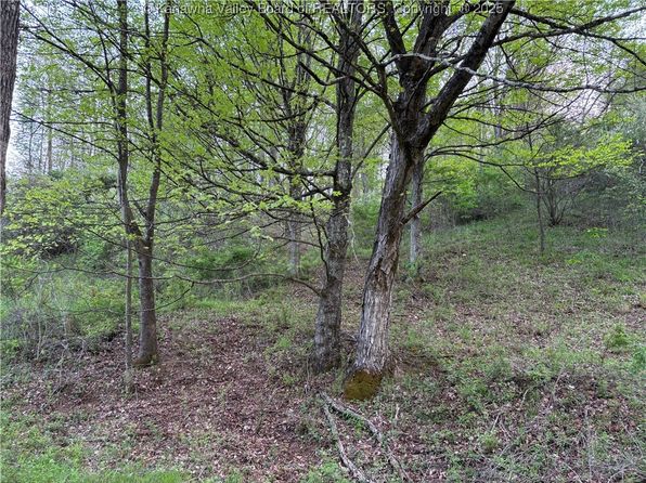 621 Three Mile Rd, Brohard, WV 26138